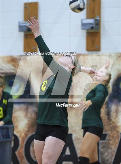 Thumbnail 1 in White Oak @ Croatan photogallery.