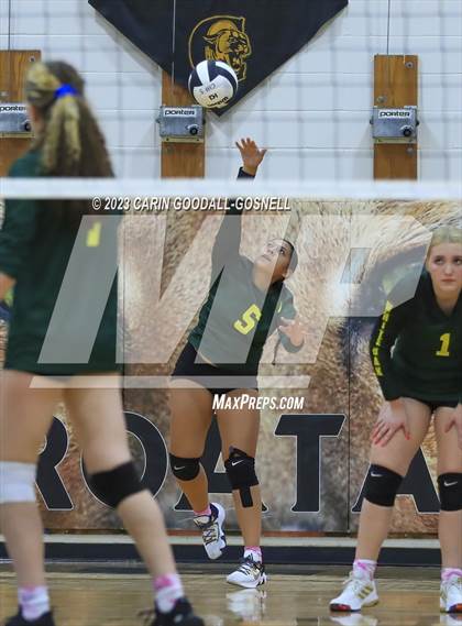 Thumbnail 2 in White Oak @ Croatan photogallery.