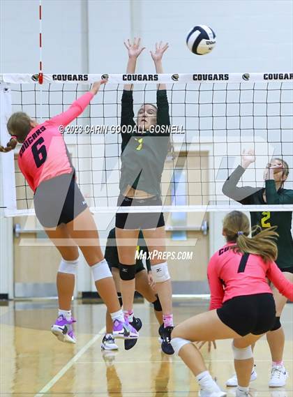 Thumbnail 1 in White Oak @ Croatan photogallery.