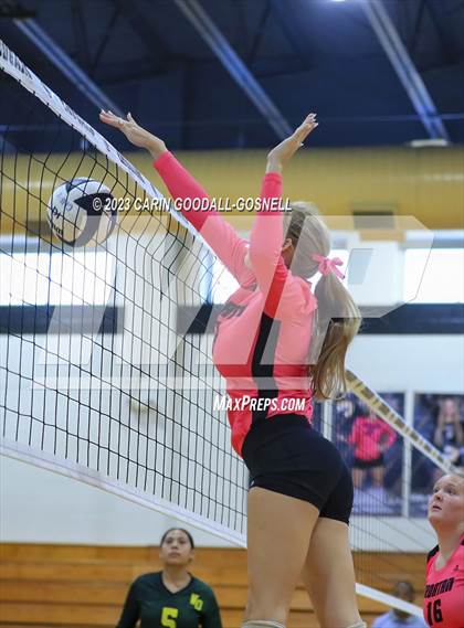Thumbnail 1 in White Oak @ Croatan photogallery.