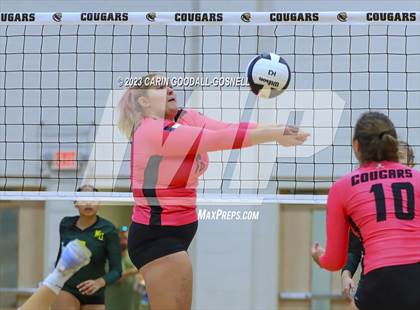 Thumbnail 1 in White Oak @ Croatan photogallery.