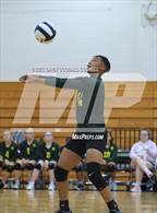 Photo from the gallery "White Oak @ Croatan"