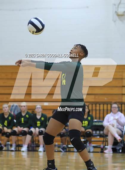 Thumbnail 1 in White Oak @ Croatan photogallery.
