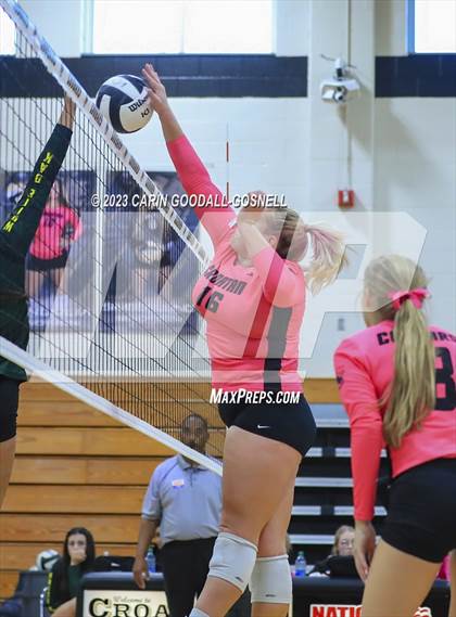 Thumbnail 3 in White Oak @ Croatan photogallery.
