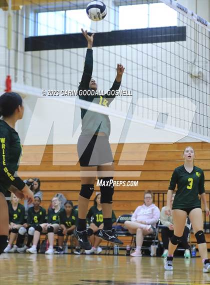 Thumbnail 2 in White Oak @ Croatan photogallery.