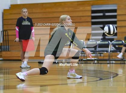 Thumbnail 2 in White Oak @ Croatan photogallery.