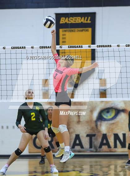 Thumbnail 2 in White Oak @ Croatan photogallery.