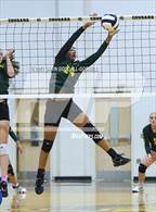 Photo from the gallery "White Oak @ Croatan"