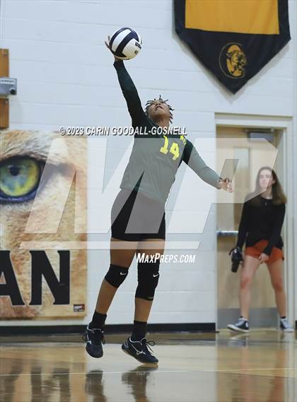 Thumbnail 1 in White Oak @ Croatan photogallery.
