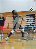 Photo from the gallery "White Oak @ Croatan"