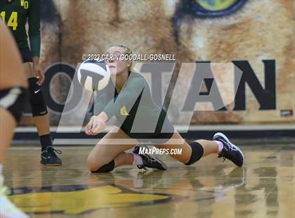Thumbnail 1 in White Oak @ Croatan photogallery.
