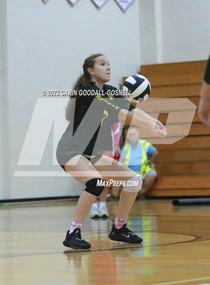 Thumbnail 1 in White Oak @ Croatan photogallery.