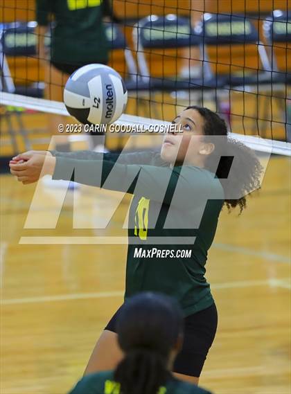 Thumbnail 3 in White Oak @ Croatan photogallery.