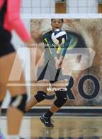 Photo from the gallery "White Oak @ Croatan"