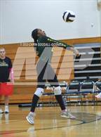 Photo from the gallery "White Oak @ Croatan"