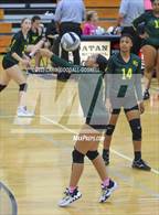 Photo from the gallery "White Oak @ Croatan"