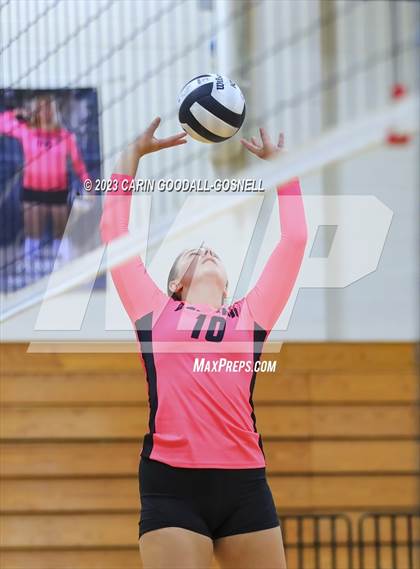 Thumbnail 3 in White Oak @ Croatan photogallery.
