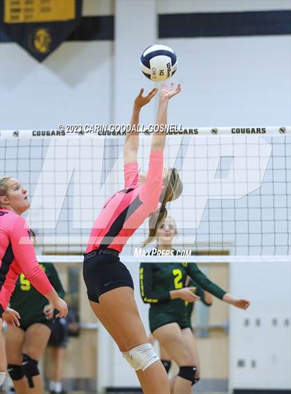 Thumbnail 3 in White Oak @ Croatan photogallery.