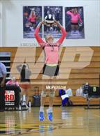 Photo from the gallery "White Oak @ Croatan"