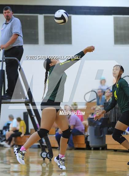 Thumbnail 2 in White Oak @ Croatan photogallery.