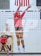 Photo from the gallery "White Oak @ Croatan"