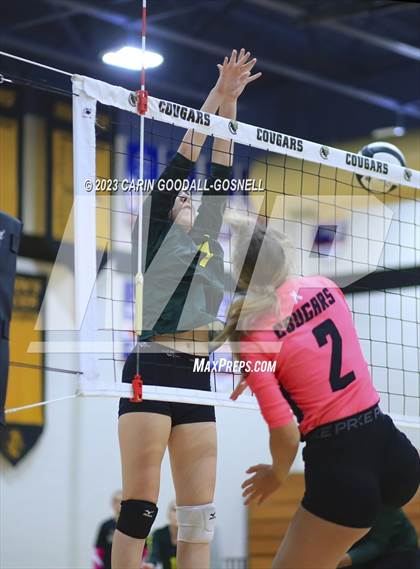 Thumbnail 2 in White Oak @ Croatan photogallery.