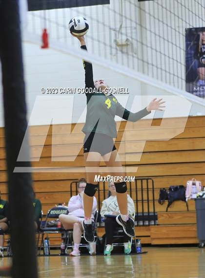 Thumbnail 2 in White Oak @ Croatan photogallery.