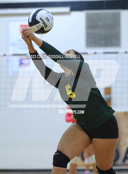 Thumbnail 2 in White Oak @ Croatan photogallery.