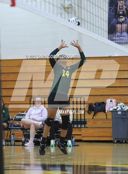 Thumbnail 1 in White Oak @ Croatan photogallery.