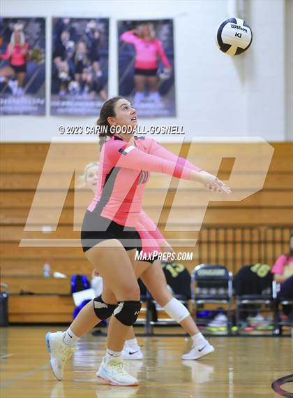Thumbnail 3 in White Oak @ Croatan photogallery.