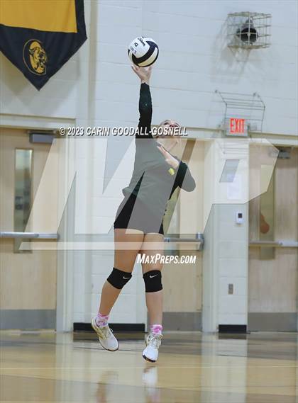 Thumbnail 3 in White Oak @ Croatan photogallery.