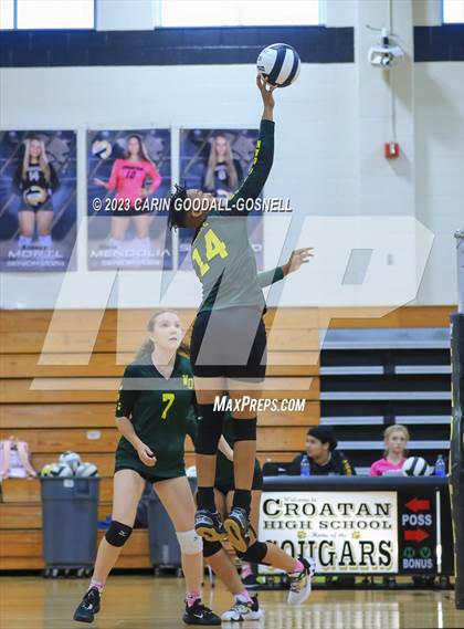 Thumbnail 3 in White Oak @ Croatan photogallery.
