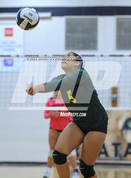 Thumbnail 1 in White Oak @ Croatan photogallery.