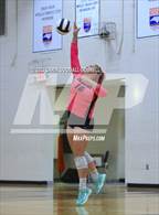 Photo from the gallery "White Oak @ Croatan"