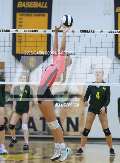 Thumbnail 1 in White Oak @ Croatan photogallery.