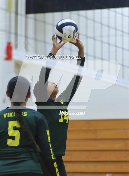 Thumbnail 1 in White Oak @ Croatan photogallery.