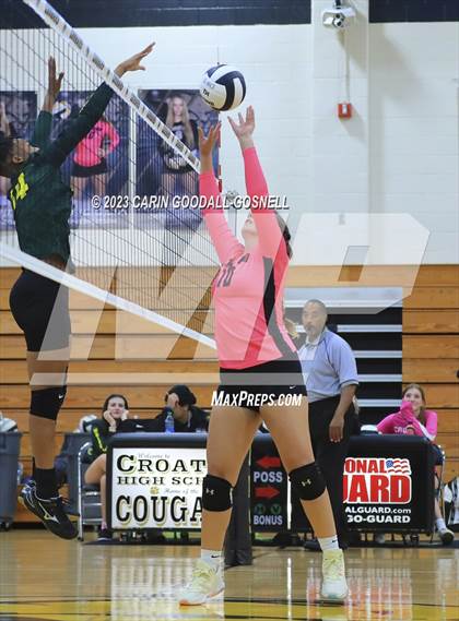 Thumbnail 2 in White Oak @ Croatan photogallery.