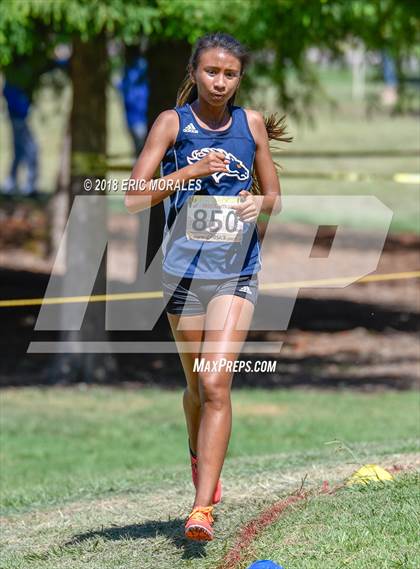 Thumbnail 1 in Asics XC Invitational photogallery.