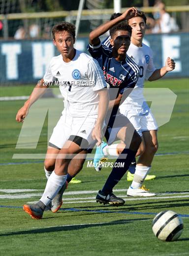 null - Photo 11