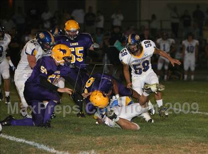Thumbnail 2 in Sutter @ Live Oak photogallery.