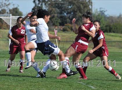 Thumbnail 2 in Florin @ Rosemont photogallery.