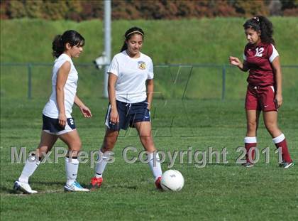 Thumbnail 2 in Florin @ Rosemont photogallery.