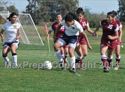 Thumbnail 2 in Florin @ Rosemont photogallery.