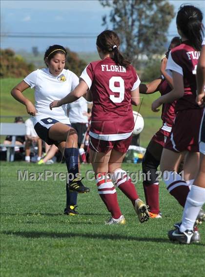 Thumbnail 1 in Florin @ Rosemont photogallery.