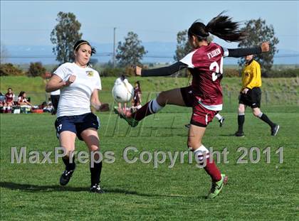 Thumbnail 3 in Florin @ Rosemont photogallery.