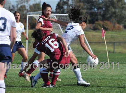 Thumbnail 1 in Florin @ Rosemont photogallery.