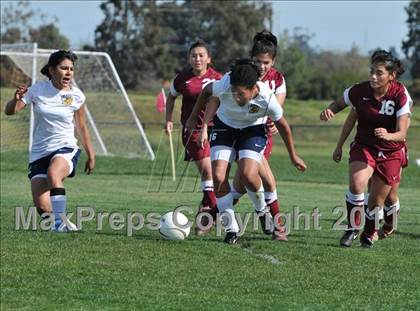 Thumbnail 1 in Florin @ Rosemont photogallery.