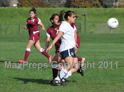 Thumbnail 1 in Florin @ Rosemont photogallery.