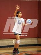 Photo from the gallery "Amplus Academy @ Desert Oasis"