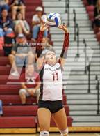 Photo from the gallery "Amplus Academy @ Desert Oasis"